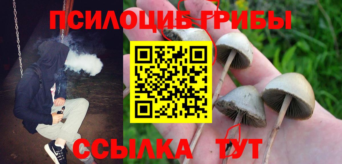 Галлюциногенные грибы мухоморы Зерноград
